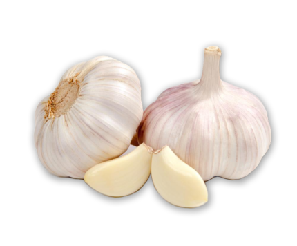 "Image: A bunch of organic garlic bulbs arranged on a wooden surface, showcasing their natural beauty. 🧄🌿 #OrganicGarlic #FarmFresh"