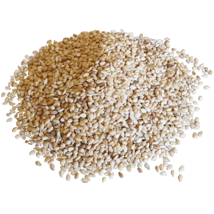 "Image: Close-up of premium sesame seeds in a bowl, showcasing their golden color and texture. 🌾🌱 #SesameSeeds #QualityHarvest"