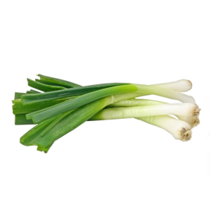 "Image: Freshly harvested spring onions, showcasing their vibrant green stalks and white bulbs. 🌱🧅 #SpringOnion #FreshProduce"